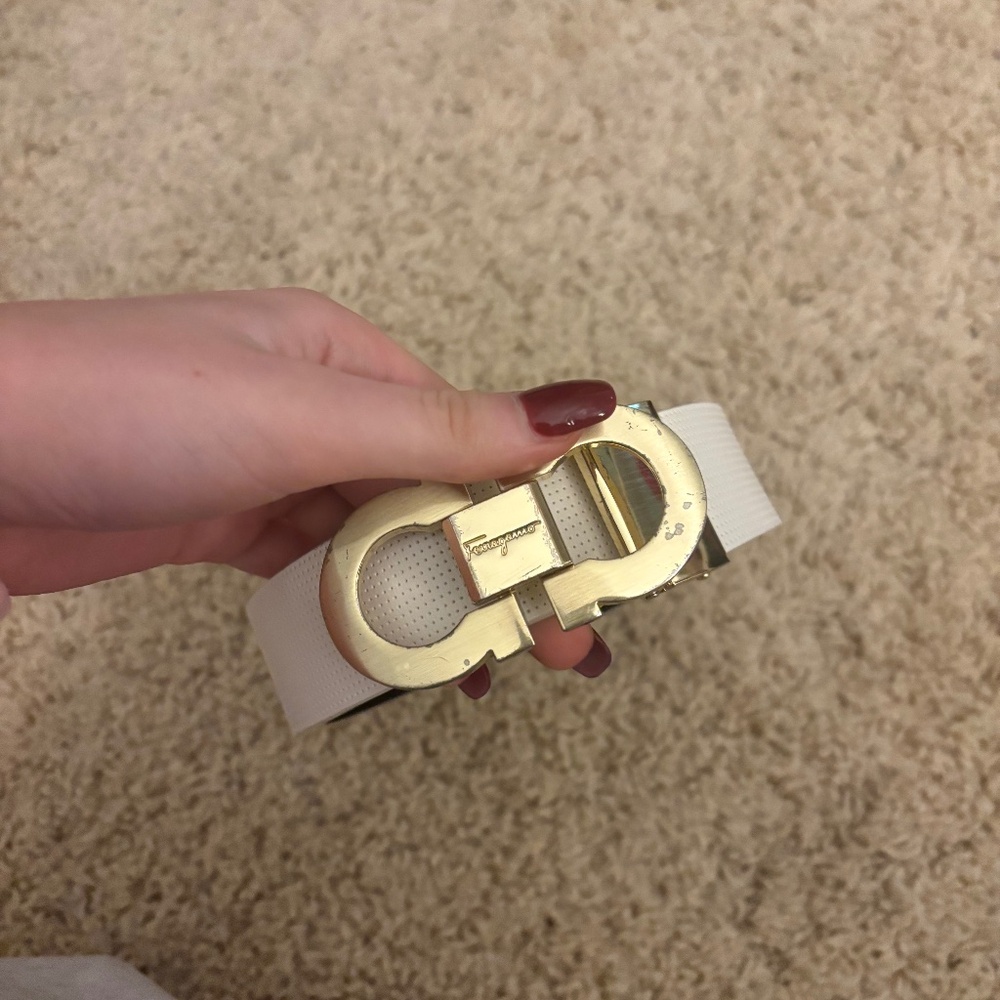 ferragamo belt